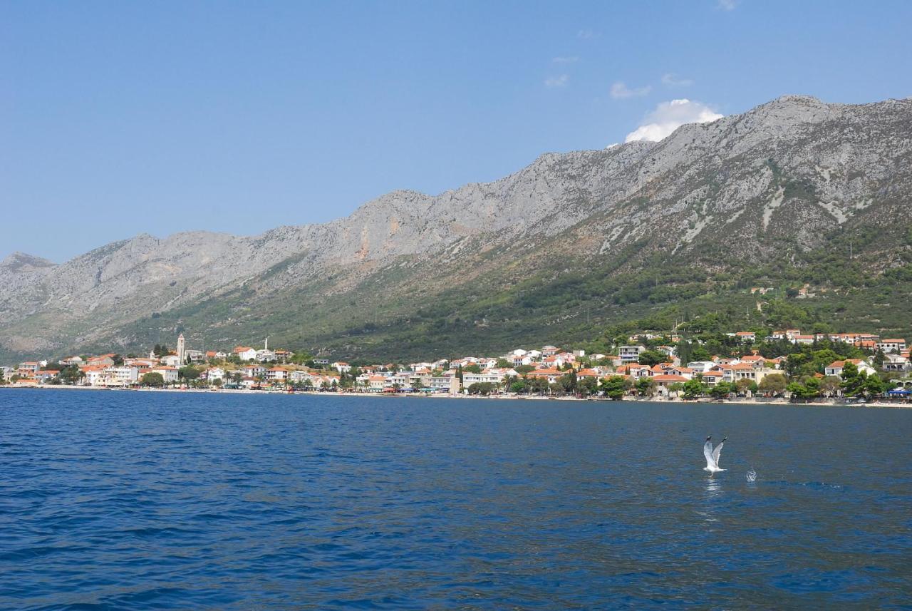 Apartments Vesna Gradac  Buitenkant foto